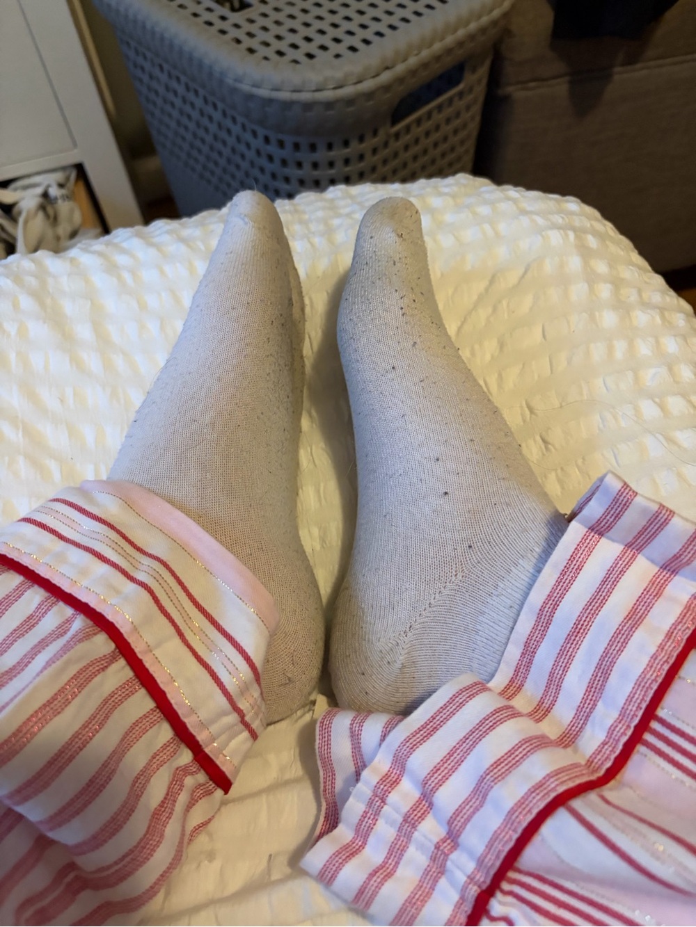 Neutral Crew Socks - Soft Beige Sock Pair